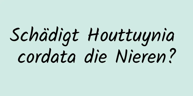 Schädigt Houttuynia cordata die Nieren?