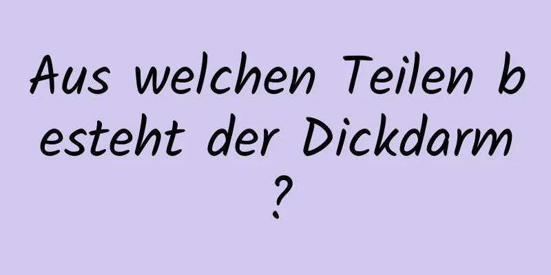 Aus welchen Teilen besteht der Dickdarm?