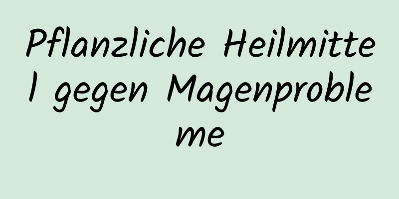 Pflanzliche Heilmittel gegen Magenprobleme