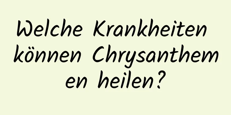 Welche Krankheiten können Chrysanthemen heilen?