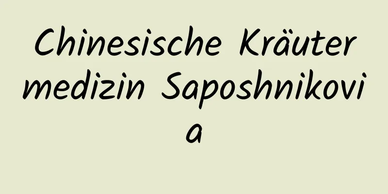 Chinesische Kräutermedizin Saposhnikovia