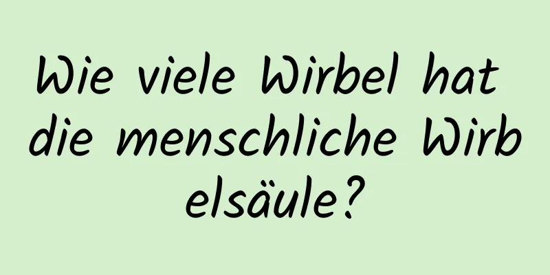 Wie viele Wirbel hat die menschliche Wirbelsäule?