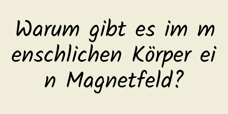 Warum gibt es im menschlichen Körper ein Magnetfeld?