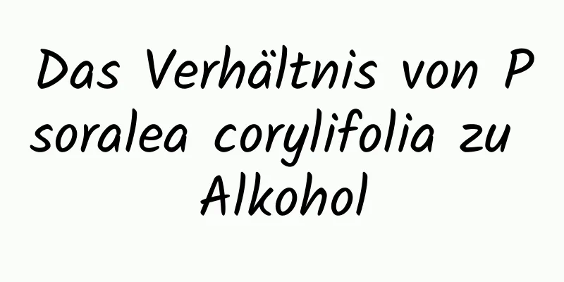 Das Verhältnis von Psoralea corylifolia zu Alkohol