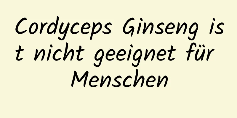 Cordyceps Ginseng ist nicht geeignet für Menschen