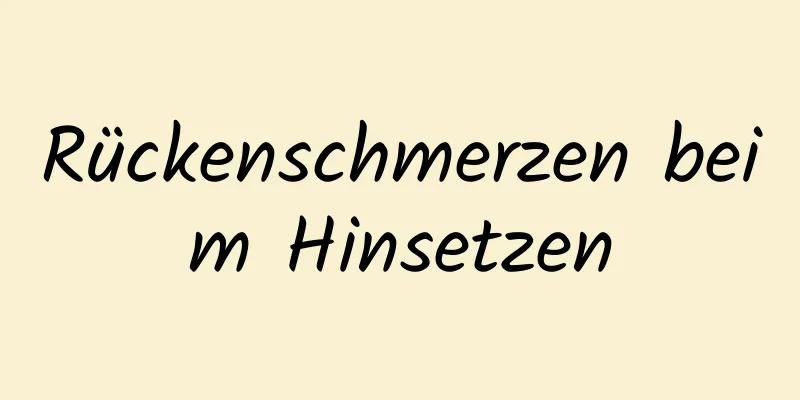 Rückenschmerzen beim Hinsetzen