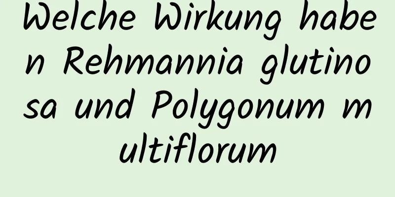 Welche Wirkung haben Rehmannia glutinosa und Polygonum multiflorum