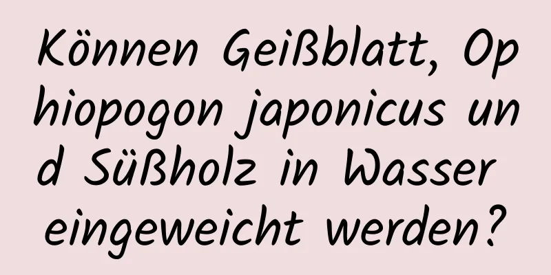 Können Geißblatt, Ophiopogon japonicus und Süßholz in Wasser eingeweicht werden?