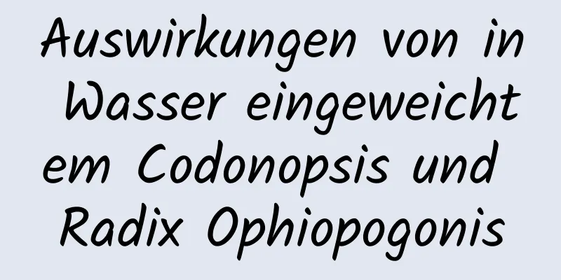 Auswirkungen von in Wasser eingeweichtem Codonopsis und Radix Ophiopogonis