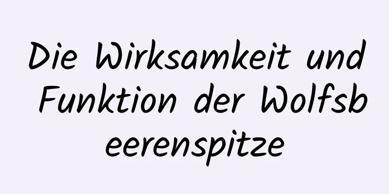 Die Wirksamkeit und Funktion der Wolfsbeerenspitze