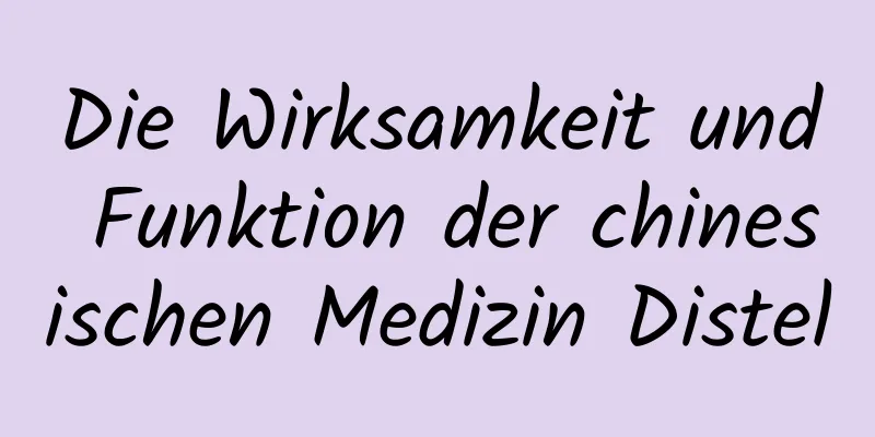 Die Wirksamkeit und Funktion der chinesischen Medizin Distel