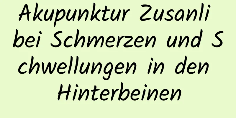 Akupunktur Zusanli bei Schmerzen und Schwellungen in den Hinterbeinen