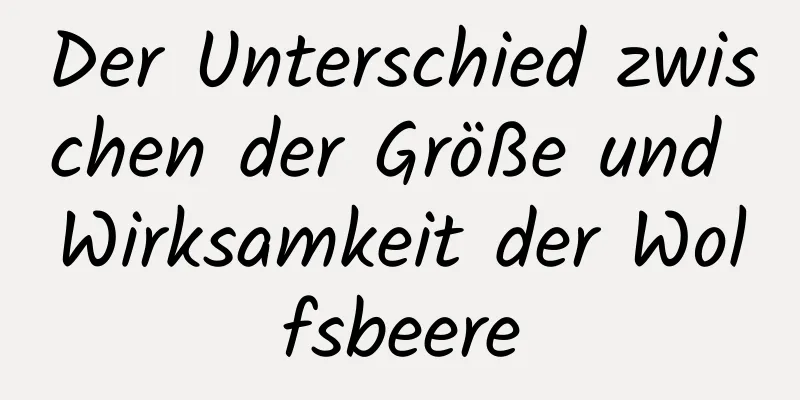 Der Unterschied zwischen der Größe und Wirksamkeit der Wolfsbeere