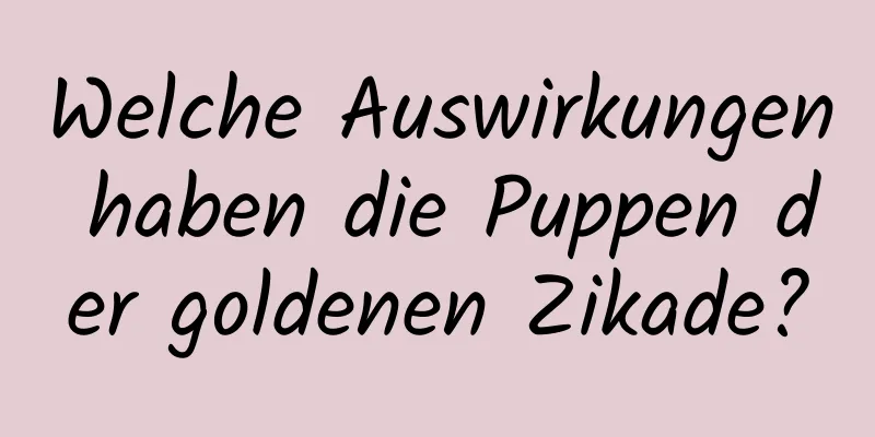 Welche Auswirkungen haben die Puppen der goldenen Zikade?