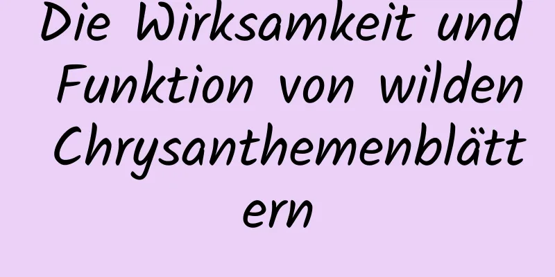 Die Wirksamkeit und Funktion von wilden Chrysanthemenblättern