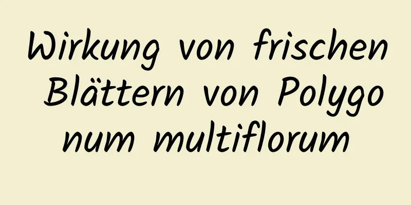 Wirkung von frischen Blättern von Polygonum multiflorum