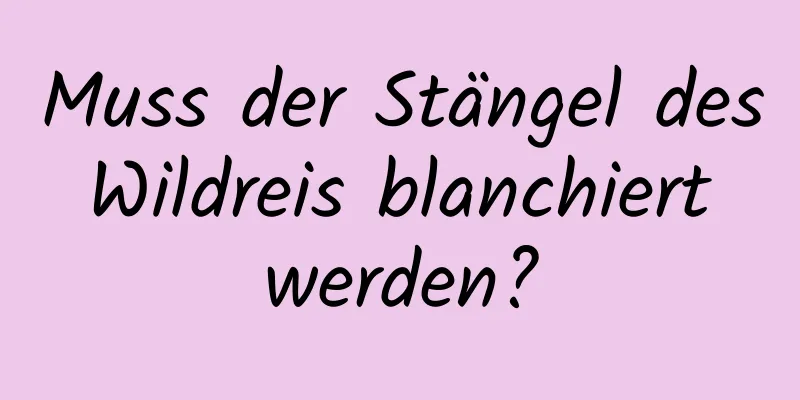 Muss der Stängel des Wildreis blanchiert werden?