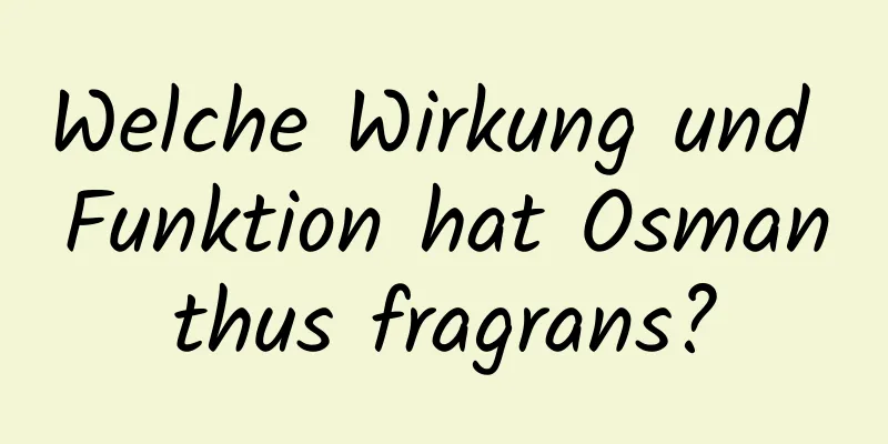 Welche Wirkung und Funktion hat Osmanthus fragrans?