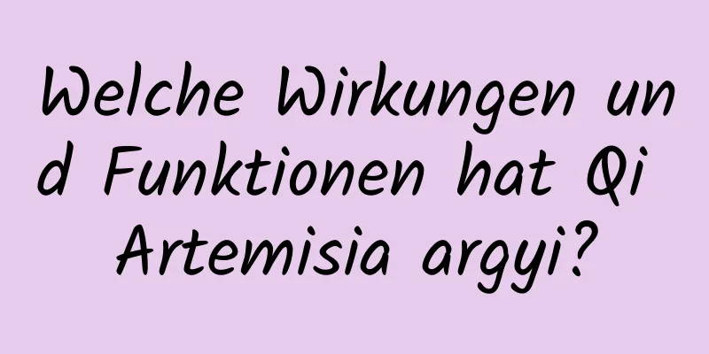 Welche Wirkungen und Funktionen hat Qi Artemisia argyi?