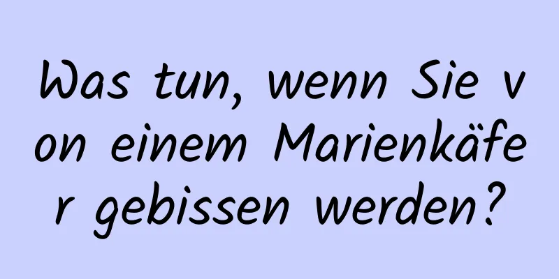 Was tun, wenn Sie von einem Marienkäfer gebissen werden?