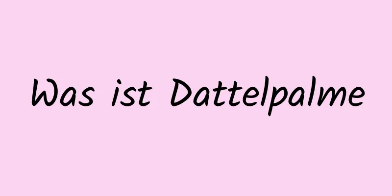 Was ist Dattelpalme