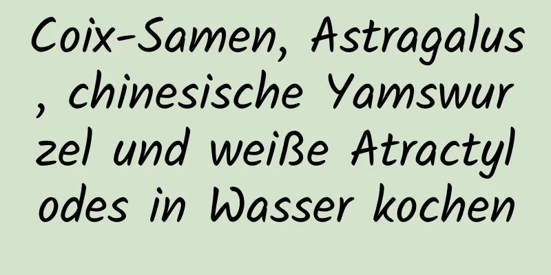 Coix-Samen, Astragalus, chinesische Yamswurzel und weiße Atractylodes in Wasser kochen