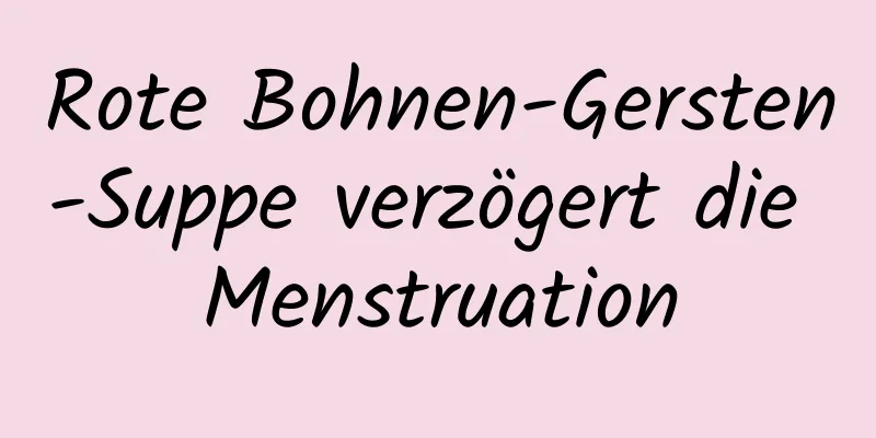 Rote Bohnen-Gersten-Suppe verzögert die Menstruation