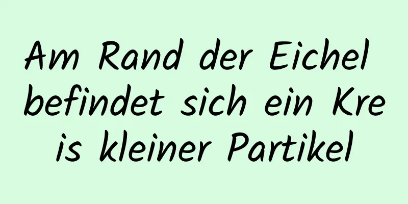 Am Rand der Eichel befindet sich ein Kreis kleiner Partikel