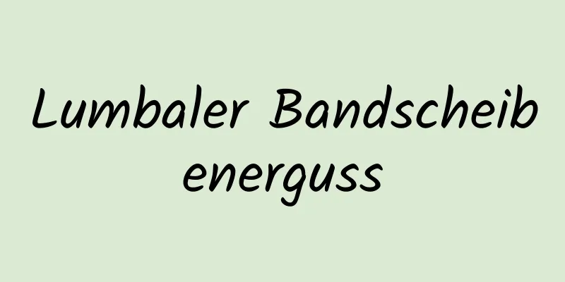 Lumbaler Bandscheibenerguss