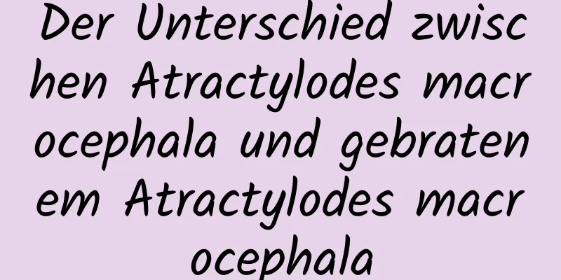 Der Unterschied zwischen Atractylodes macrocephala und gebratenem Atractylodes macrocephala