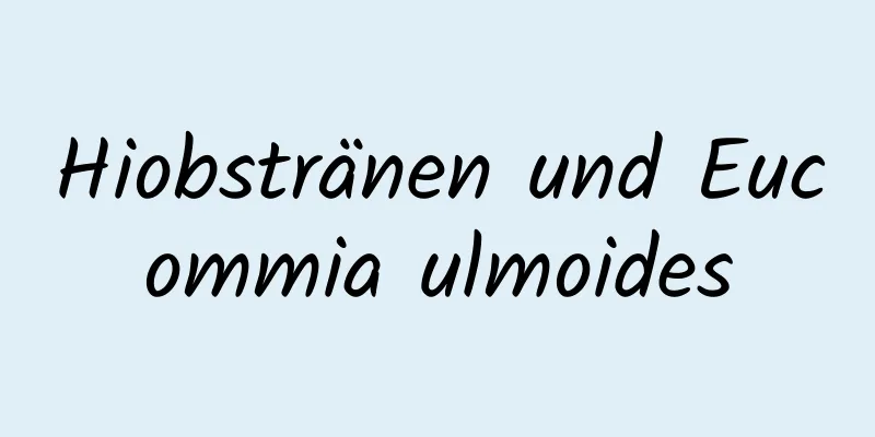 Hiobstränen und Eucommia ulmoides