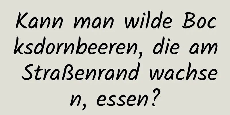 Kann man wilde Bocksdornbeeren, die am Straßenrand wachsen, essen?