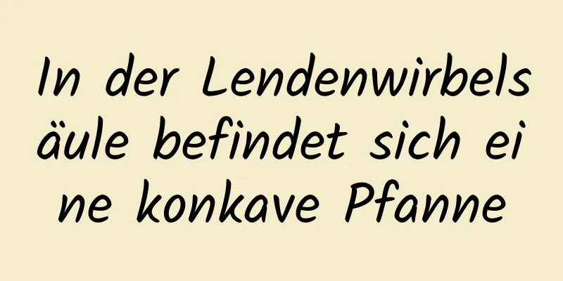 In der Lendenwirbelsäule befindet sich eine konkave Pfanne