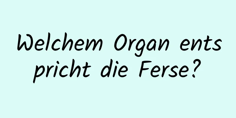 Welchem ​​Organ entspricht die Ferse?