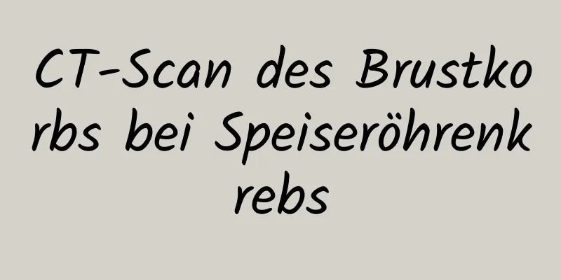 CT-Scan des Brustkorbs bei Speiseröhrenkrebs