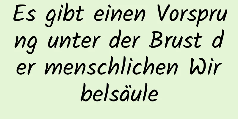 Es gibt einen Vorsprung unter der Brust der menschlichen Wirbelsäule