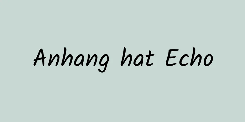 Anhang hat Echo