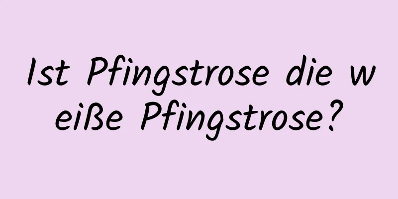 Ist Pfingstrose die weiße Pfingstrose?