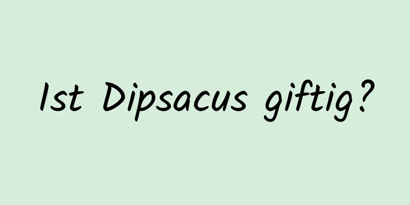 Ist Dipsacus giftig?