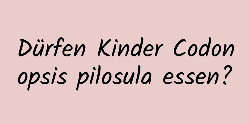 Dürfen Kinder Codonopsis pilosula essen?