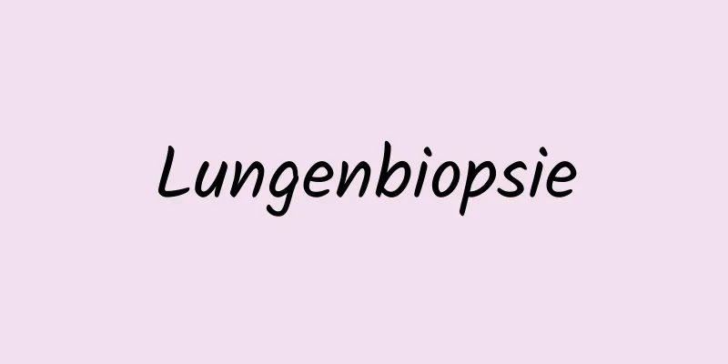 Lungenbiopsie