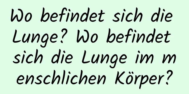 Wo befindet sich die Lunge? Wo befindet sich die Lunge im menschlichen Körper?