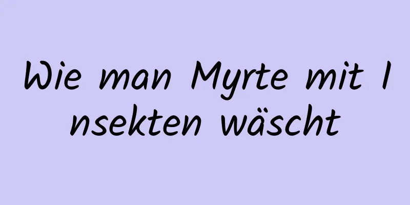 Wie man Myrte mit Insekten wäscht