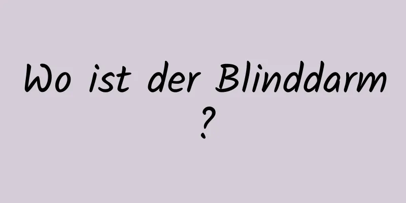 Wo ist der Blinddarm?