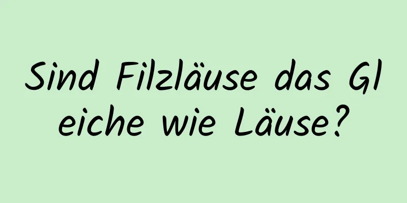 Sind Filzläuse das Gleiche wie Läuse?