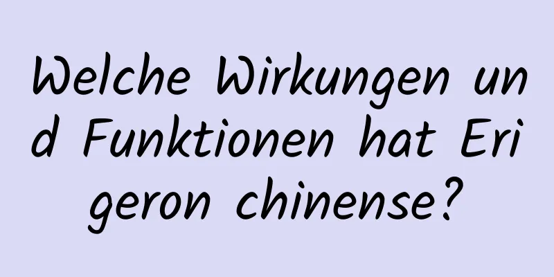 Welche Wirkungen und Funktionen hat Erigeron chinense?