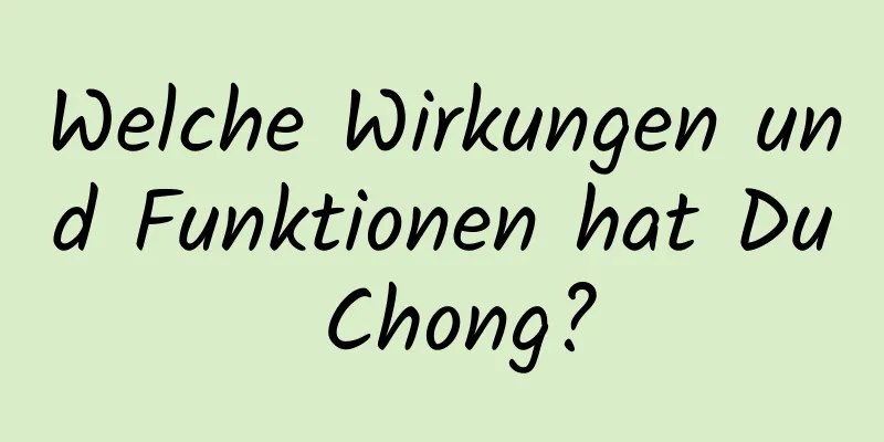 Welche Wirkungen und Funktionen hat Du Chong?