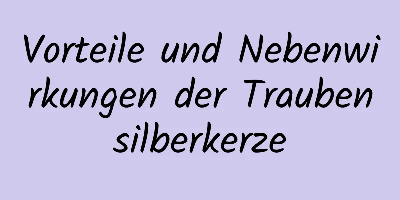 Vorteile und Nebenwirkungen der Traubensilberkerze