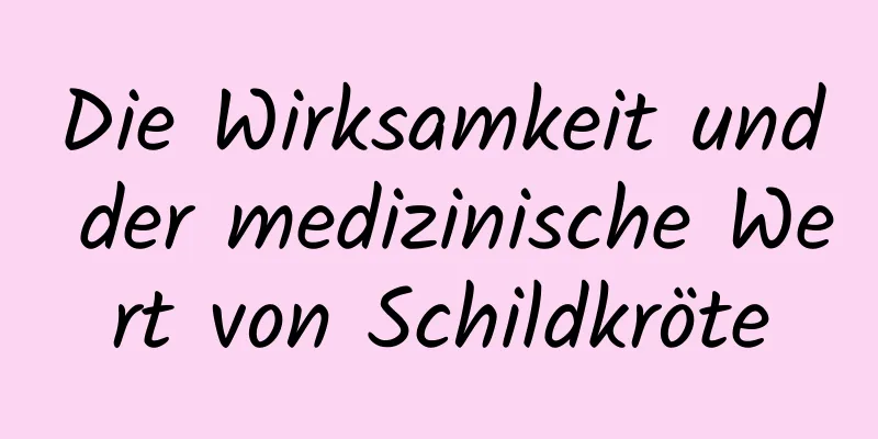 Die Wirksamkeit und der medizinische Wert von Schildkröte