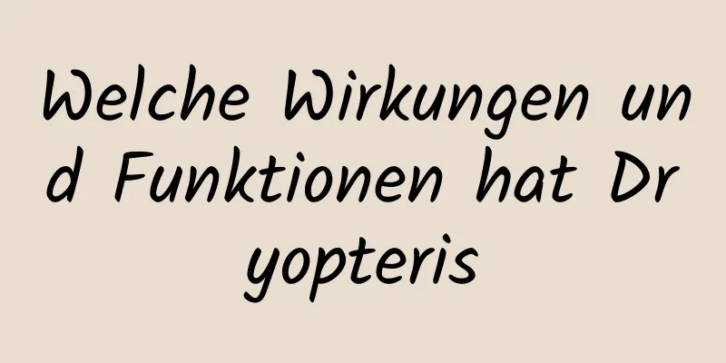 Welche Wirkungen und Funktionen hat Dryopteris